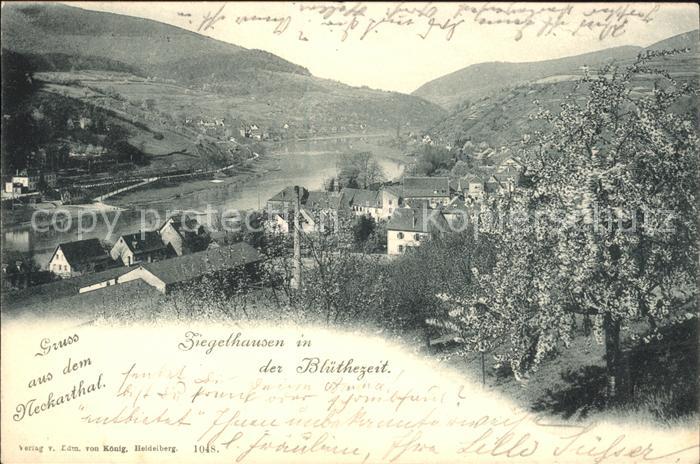 Ziegelhausen Neckarthal