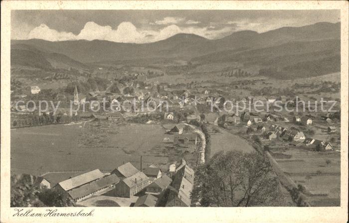 Zell Harmersbach Fliegeraufnahme