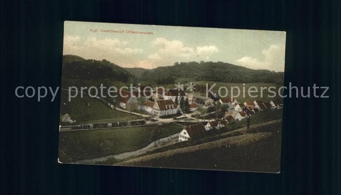 Offenhausen Gomadingen Gestuetshof Offenhausen