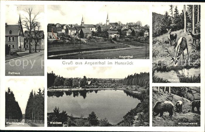 Argenthal Rathaus Rotwild Wildschweine Waldsee