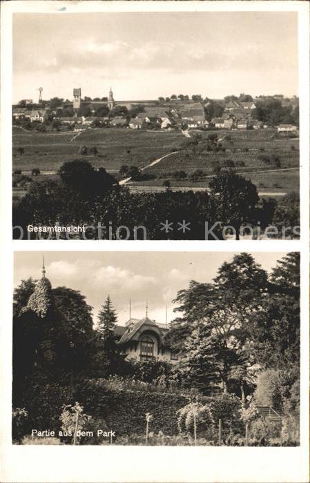 Zell Pfalz Wirtschaft zum Schwarzen Herrgott Partie aus dem Park