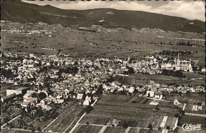 Edenkoben Fliegeraufnahme