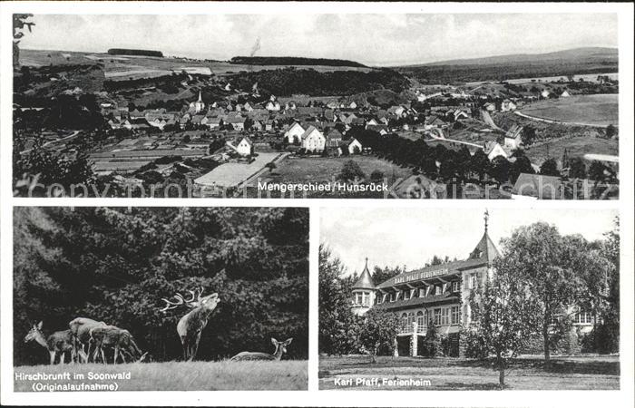 Mengerschied Hirschbrunft im Soonwald Karl Pfaff Ferienheim