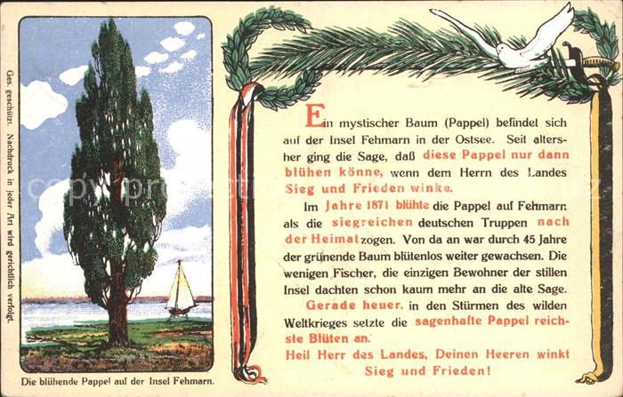 Fehmarn Geschichte Bluehende Pappel Tannenzweige Taube