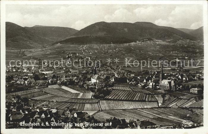 Edenkoben Fliegeraufnahme