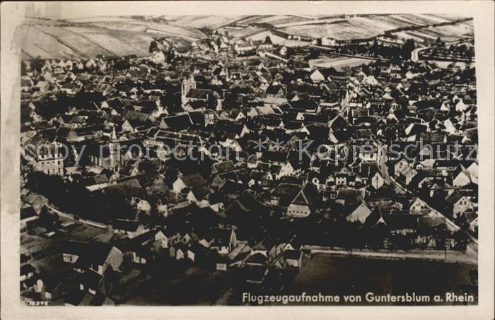 Guntersblum Fliegeraufnahme