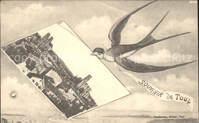 Toul 54 Vue generale Briefschwalbe