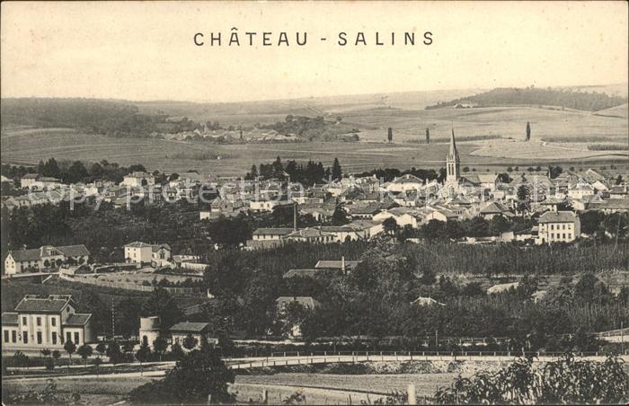 Chateau-Salins Vue panoramique