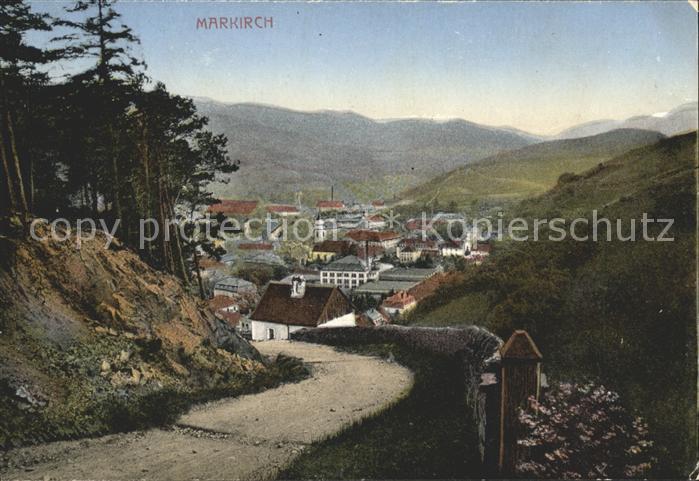 Markirch Panorama mit Vogesen
