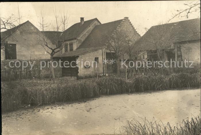 Wintzenheim Colmar Etang de la Maison Andres