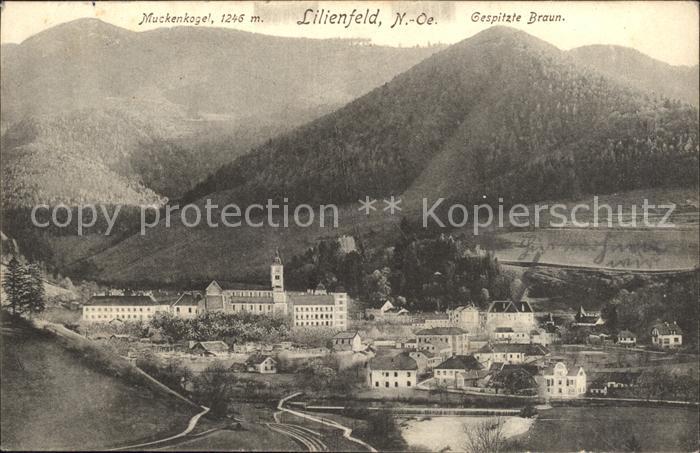 Lilienfeld Muckenkogel Gespitzte Braun