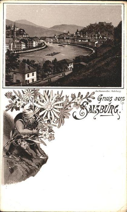 SALZBURG  AT Zwerg Blume