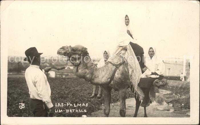 las Palmas Detalle Kamel