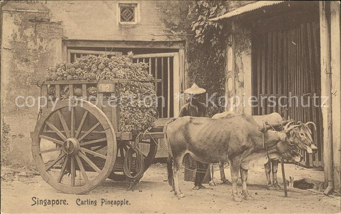 Singapore Carting Pineapple
