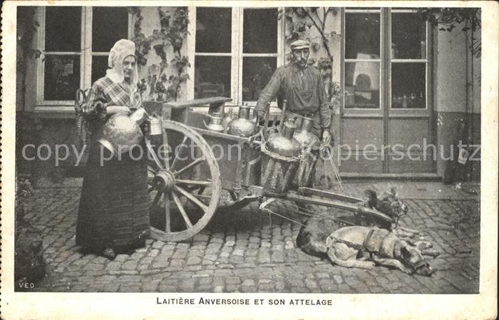 Anvers Antwerpen Laitiere Anversoise et son Attelage