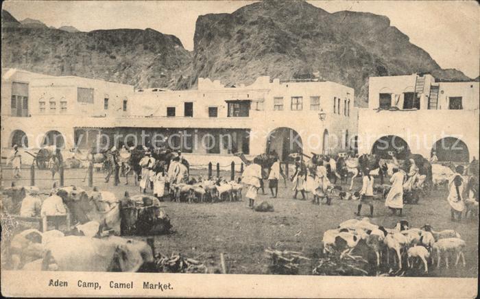 Aden Camp Camel Market