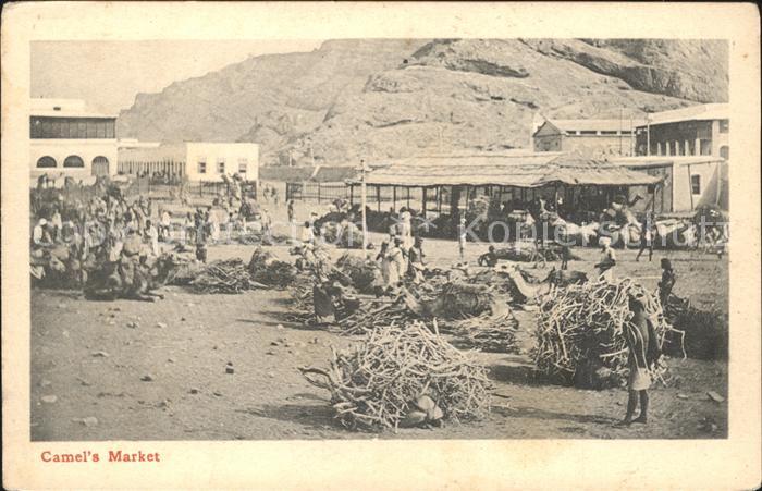 Aden Camel's Market