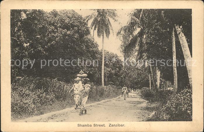 Zanzibar Shamba Street
