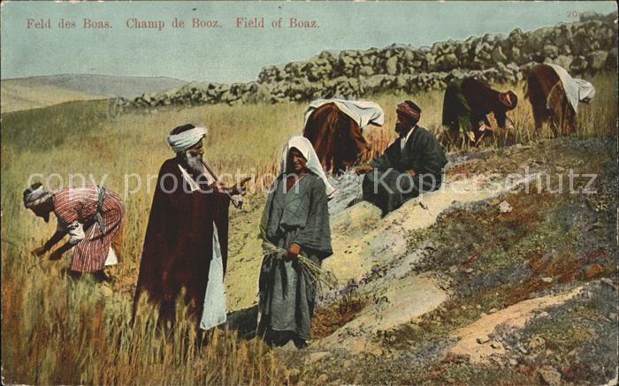 Israel Feld des Boas