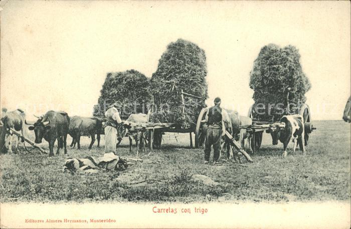 Uruguay Carretas con trigo Ochsenkarren Feldarbeit