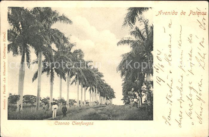 Cienfuegos Avenida de Palmas