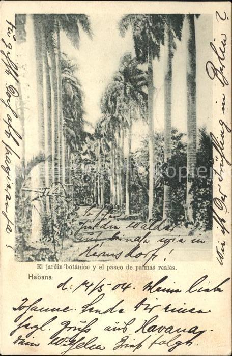 Habana Havana Jardin botanico y el paseo de palmas reales