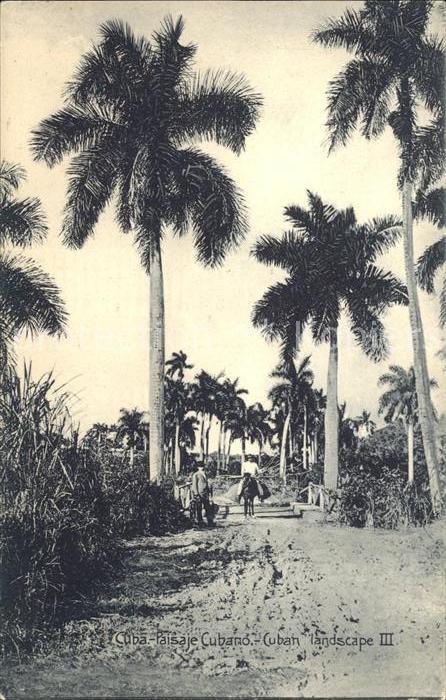 Cuba Cuba Paisaje Cubano Palmas