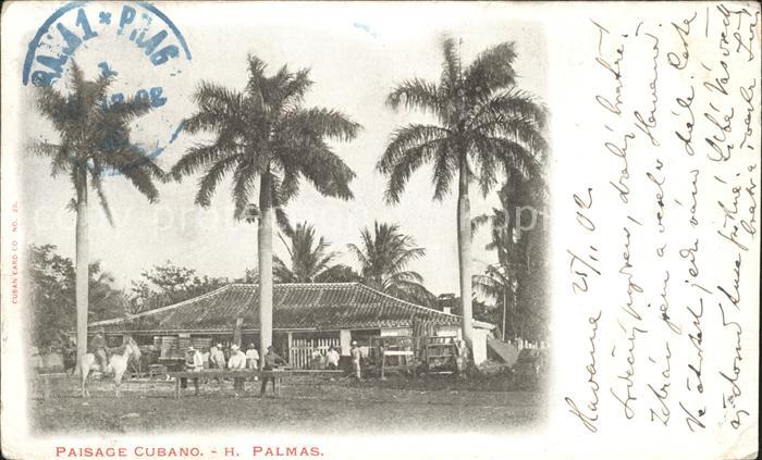 Cuba Cuba Paisaje Cubano Palmas