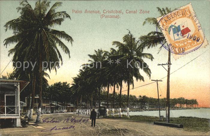 Cristobal Panama Palm Avenue Canal Zone Stempel auf AK