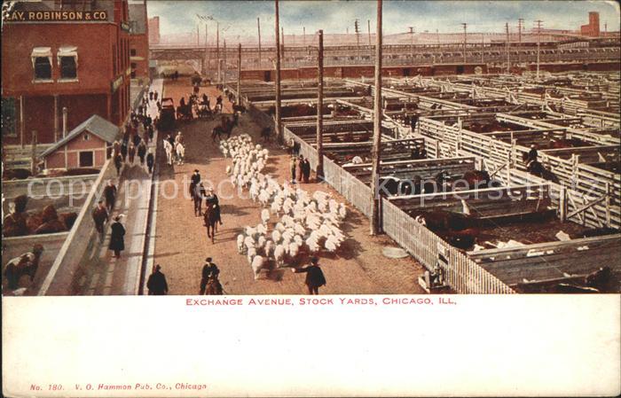 Chicago Illinois Exchange Avenue Stock Yards