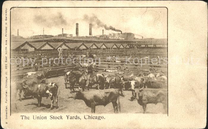 Chicago Illinois Union Stock Yards Industry