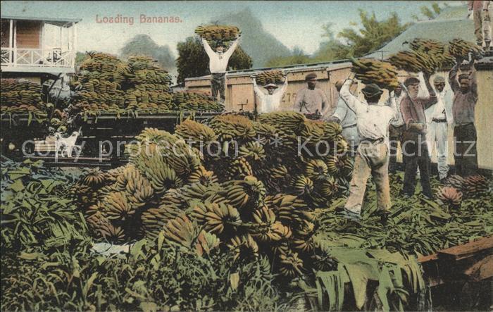 Panama Loading Bananas