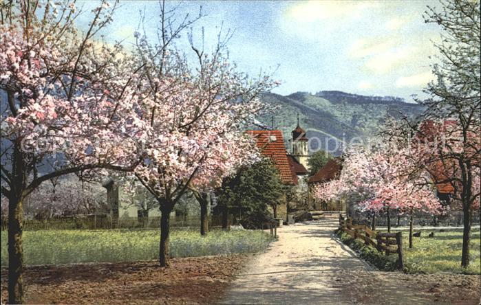 Steinach Baden Feldweg mit Kirche