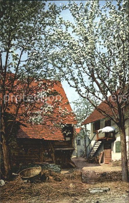 Steinach Baden Schwarzwaldhof