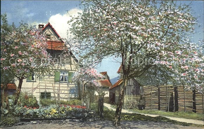 Hersbach Wisches Haus