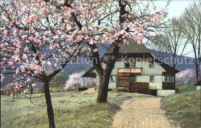 Kirnbachtal Wohnhaus