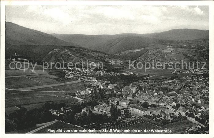 Wachenheim Weinstrasse Fliegeraufnahme
