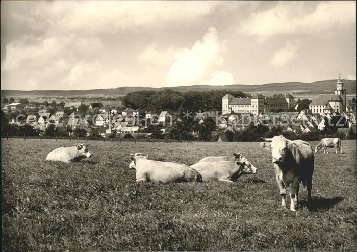Messkirch mit Kuehen