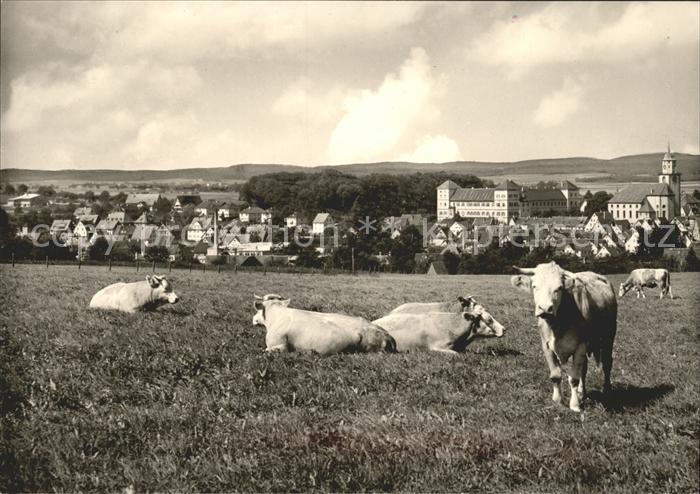 Messkirch mit Kuehen