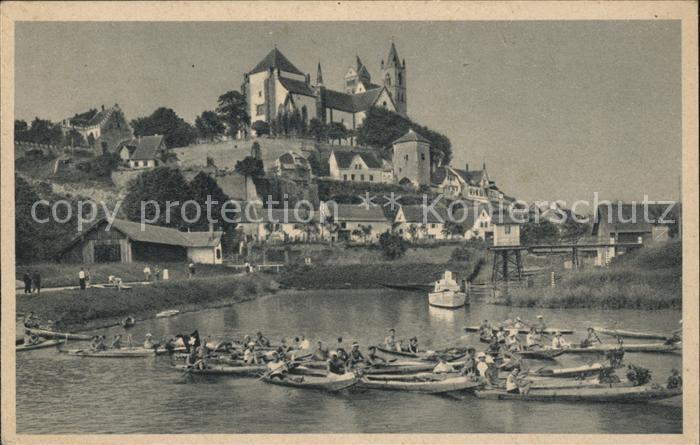 Breisach Rhein Rheinpartie