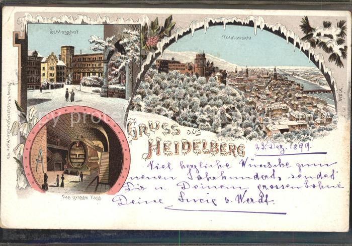 Heidelberg Neckar Schlosshof und total im Winter