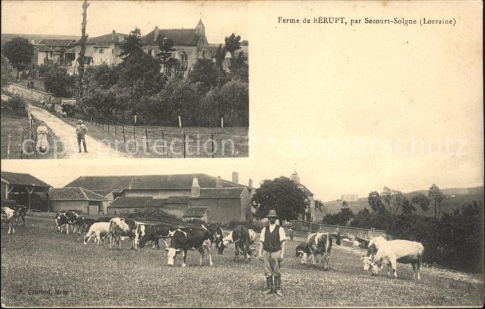 Solgne Ferme de Berupt Vaches