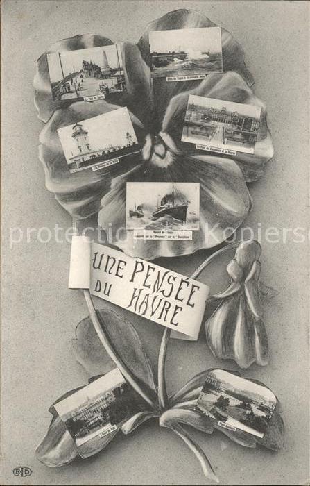 Le Havre Une Pensee de la Ville Sehenswuerdigkeiten Blume