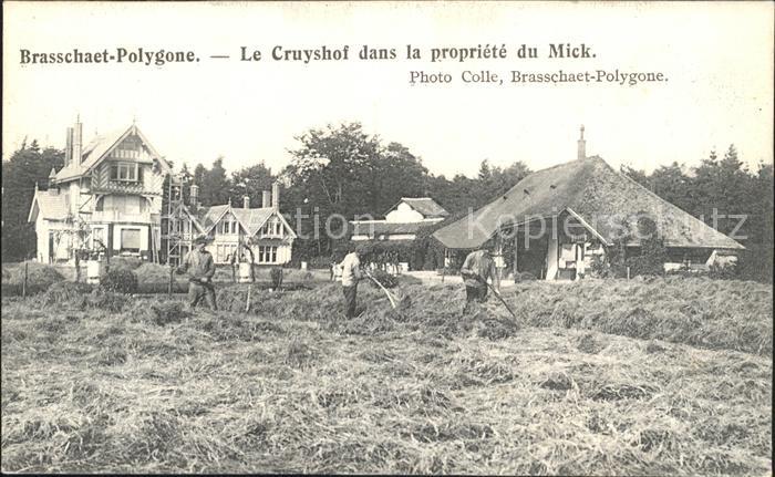 Brasschaet-Polygone Cruyshof dans la propriete du Mick Feldarbeit
