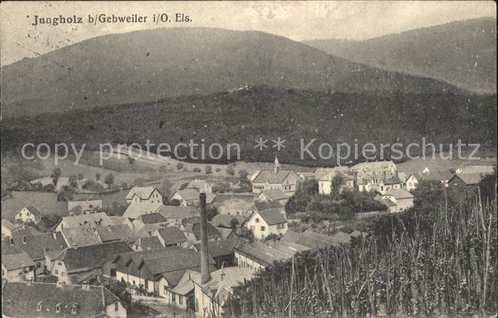 Jungholz Gebweiler Panorama