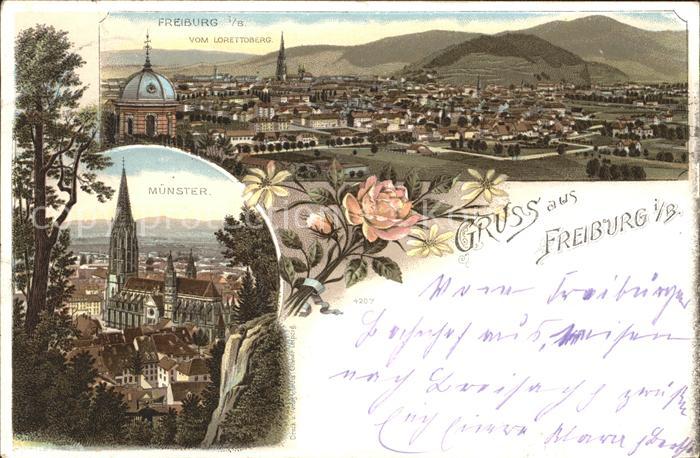 Freiburg Breisgau Blick vom Lorettoberg Muenster