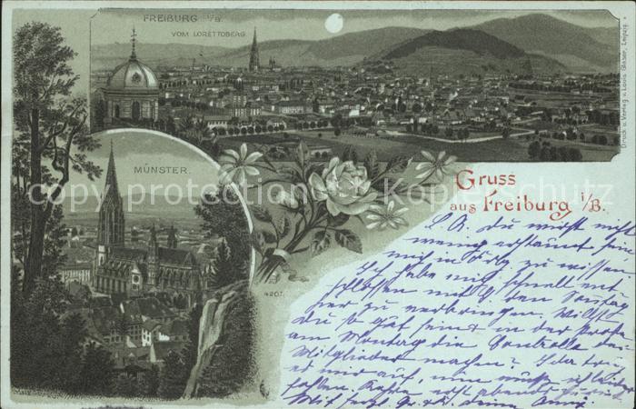 Freiburg Breisgau Blick vom Lorettoberg und Muenster