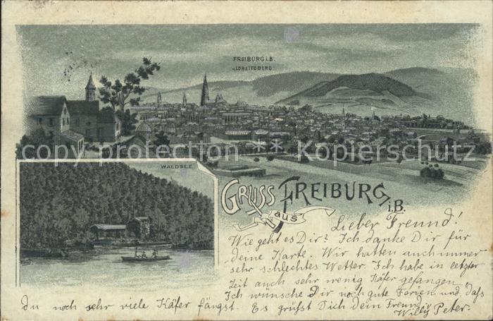 Freiburg Breisgau Blick vom Lorettoberg Waldsee