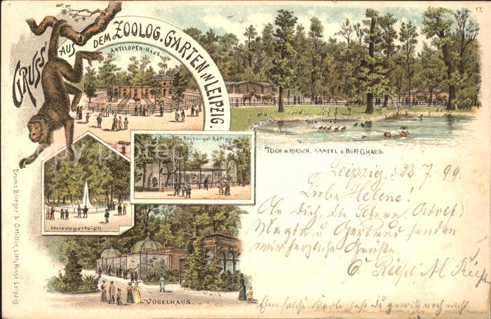 LEIPZIG Sachsen Zoologischer Garten Affe Vogelhaus Antilopen-Haus Litho