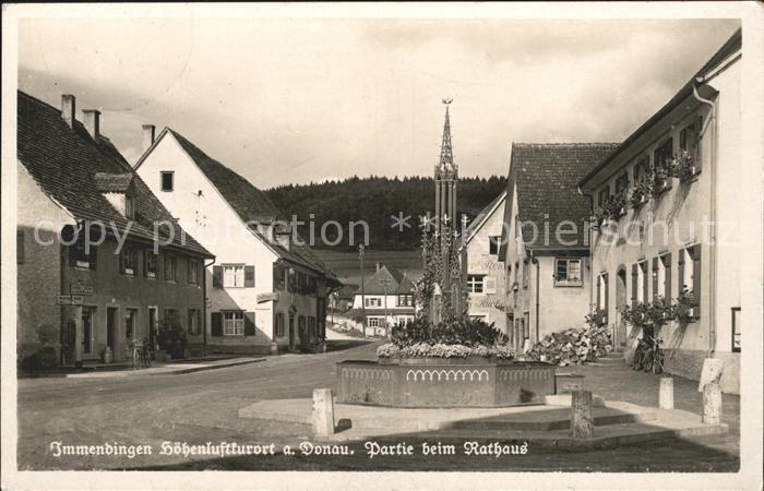 Immendingen Partie beim Rathaus